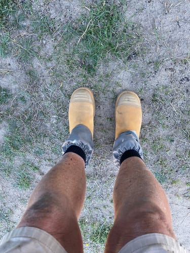 Customer photo review of Steel Blue Hobart Elastic Sided with Scuff Cap