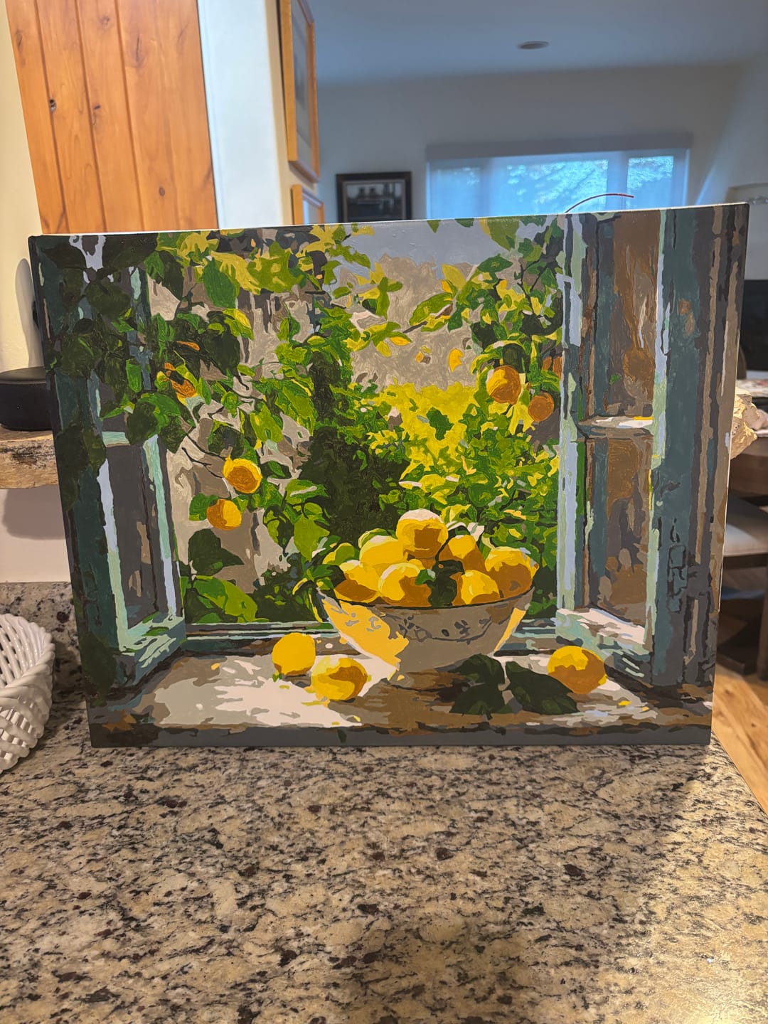 Customer photo review of Lemon Bowl at the Window | Paint by Number