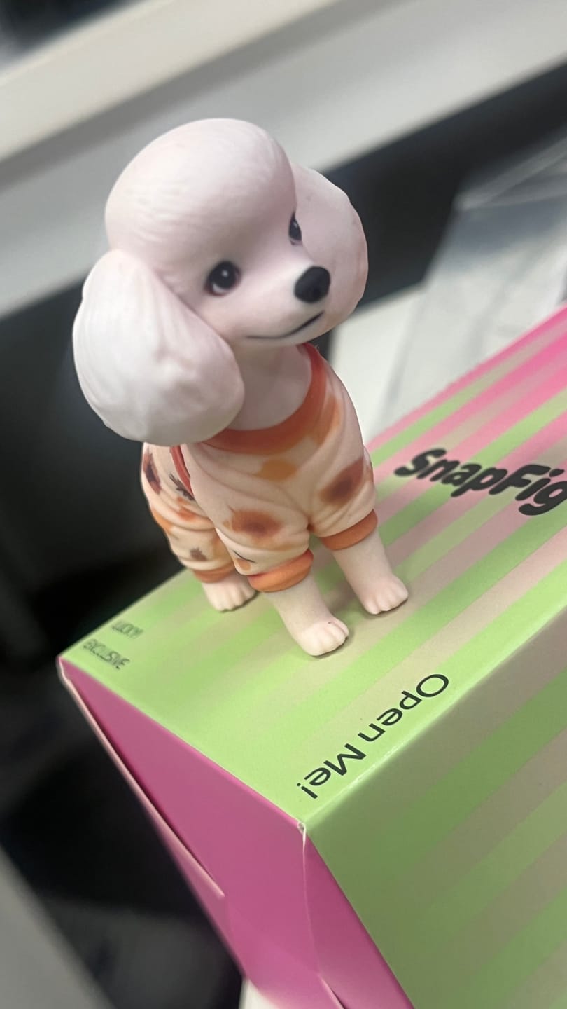 Customer photo review of Custom 3D Pet Figure Keychain & Bag Charm - Take Them Everywhere