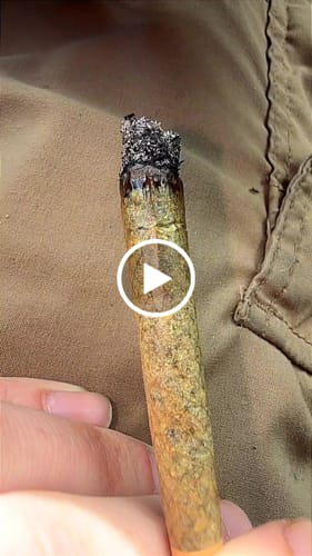Customer video review of THCA Pre-Roll