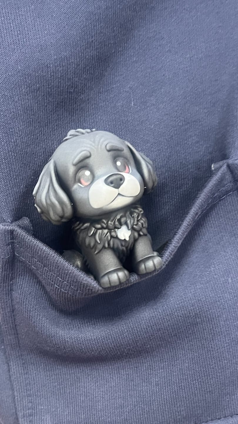 Customer photo review of Custom 3D Pet Figure Keychain & Bag Charm - Take Them Everywhere