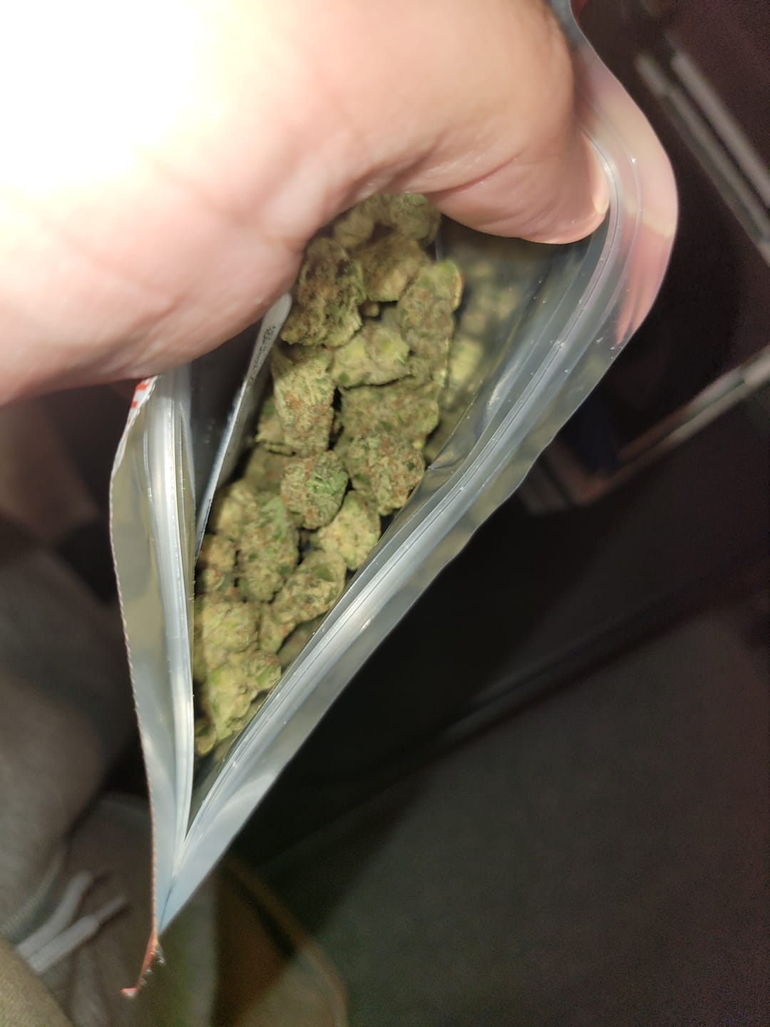 Customer photo review of Sunrise to Sunset Exotic Smalls Bundle