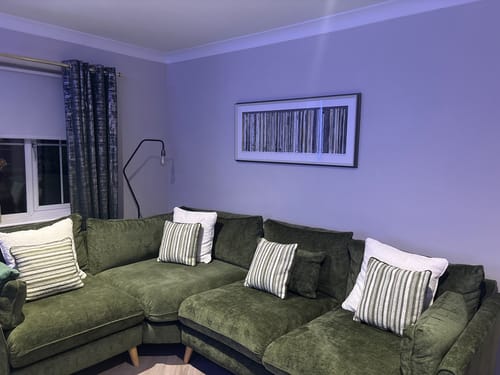 Customer photo review of Classic Vinyl By Faye Reynolds-Lydon Delivers Within 3-5 Business Days