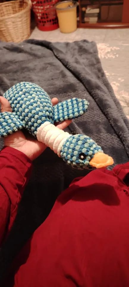 Customer photo review of Plush Blue Goose Dog Chew Toy