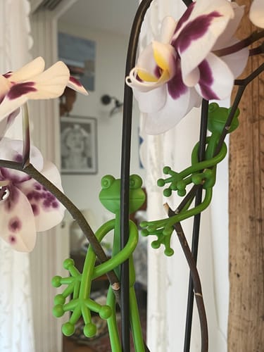 Customer photo review of Mamie Frog®