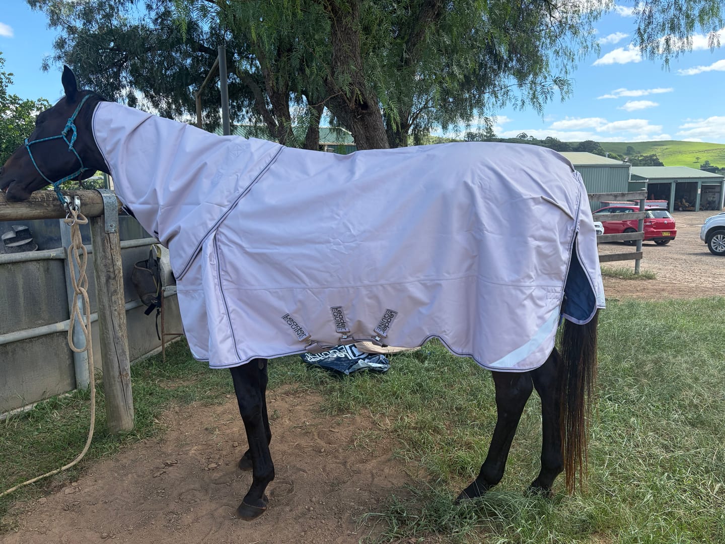Customer photo review of LE Boxter Turnout 0g