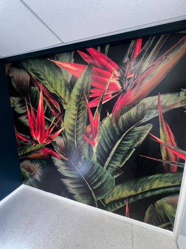 Customer photo review of Sterilitzia Flower - Custom Sized Wallpaper Mural (per m2) - Green