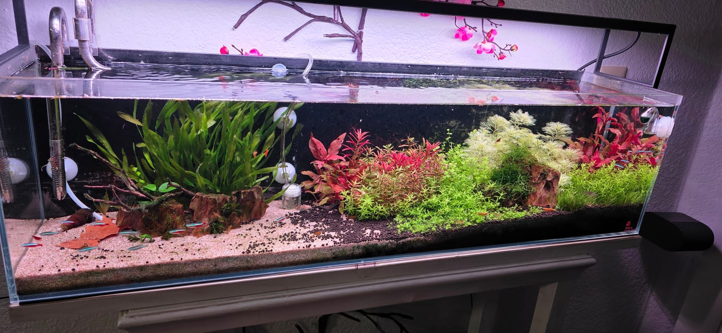 Customer photo review of Chihiros WRGB II Slim LED Light