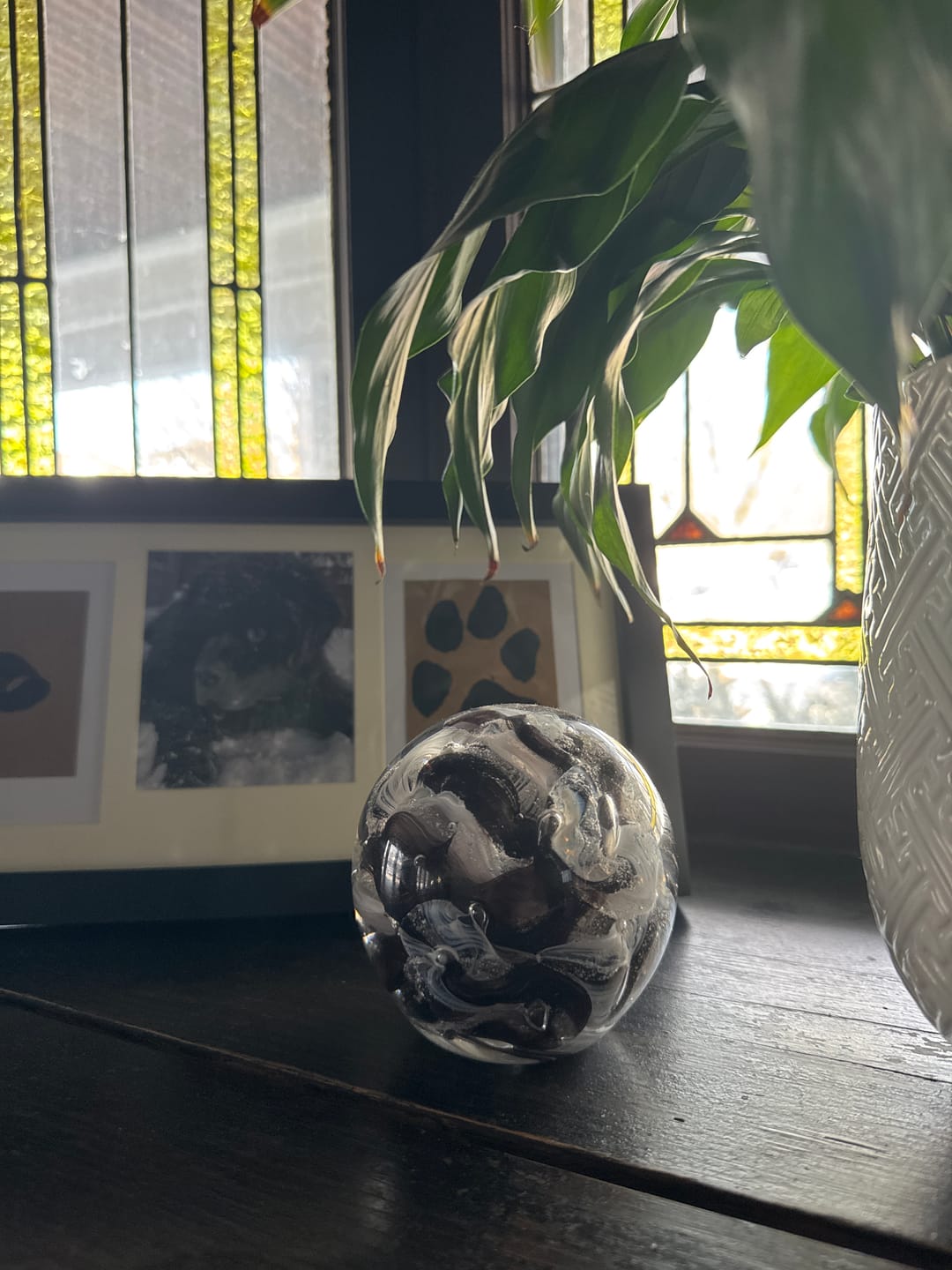 Customer photo review of Cotton Candy Orb with Infused Cremation Ashes