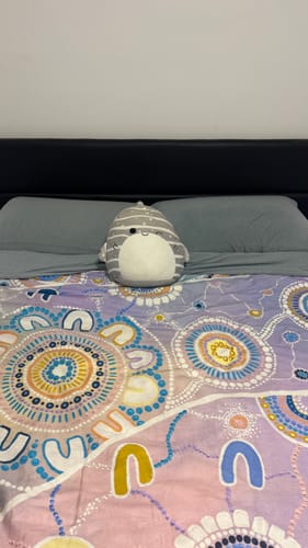 Customer photo review of Squishmallows 30cm - Sachie The Shark