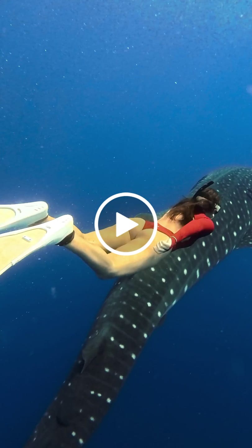 Customer video review of Luna Long Sleeve Swimwear