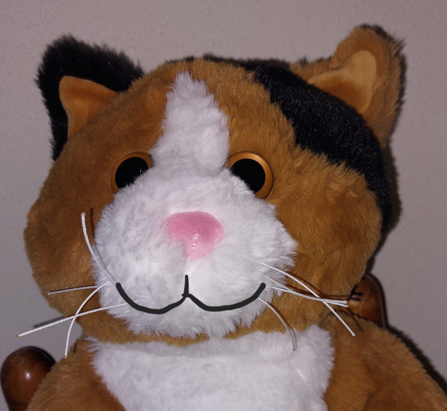 Customer photo review of Verzwaringsknuffel Kat 2,2 kg + Gratis Pittenzakje