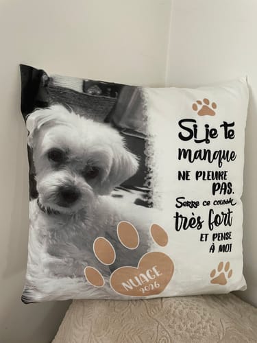 Customer photo review of Si je te manque - Coussin personnalisé