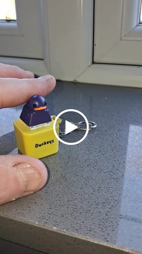 Customer video review of [PRE-ORDER] Quackey - Fidget Toy that Quacks!
