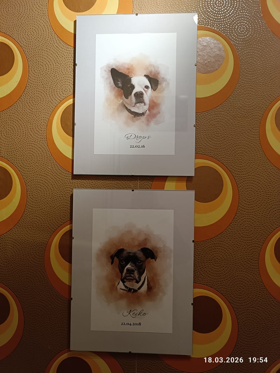 Customer photo review of Dein Hund als Aquarell Tierportrait | Geschenk für Hundebesitzer