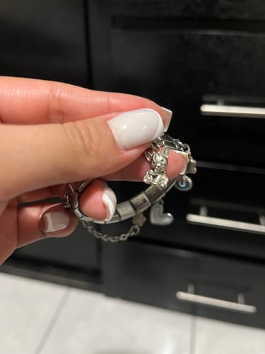 Primer plano de la mano de una clienta sosteniendo una pulsera italiana con el Charm Perrito.