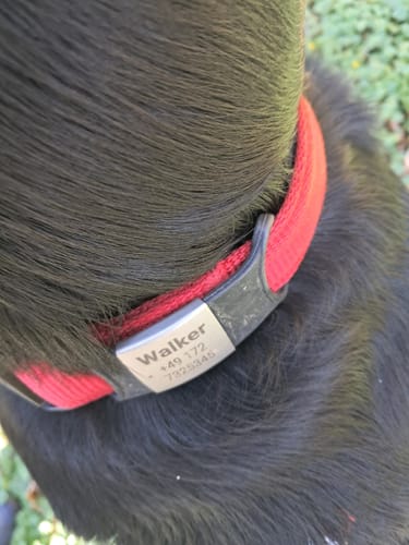 Customer photo review of Klapperfreie Hundemarke Silikonslider mit Edelstahl-Schild für Halsbänder inkl. GRATIS Gravur