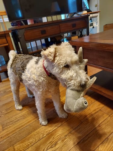 Customer photo review of Clean Earth Plush - 100% Sustainable