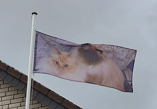 Customer photo review of Fahne inkl. Druck