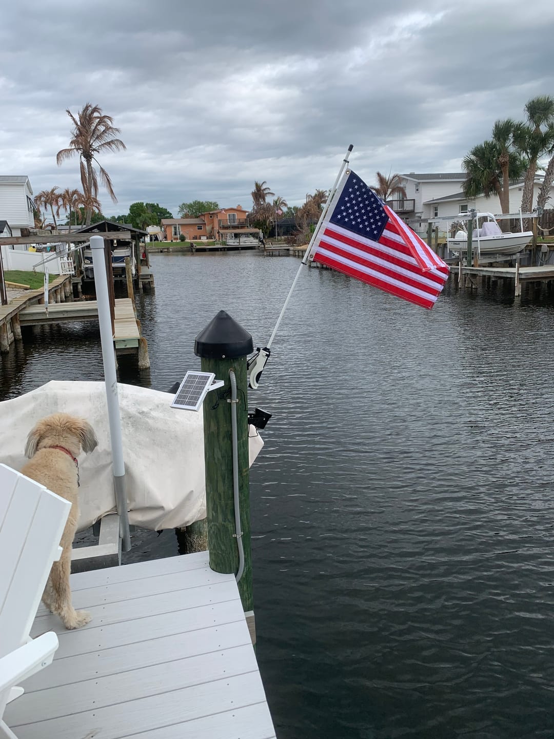 Customer photo review of 16" x 24" Boat Flag Set
