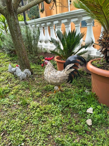 Customer photo review of Gallo Decorativo in Ferro Bicolore – H45 x L50 x P20 cm