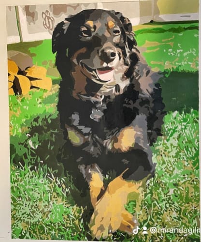 Customer photo review of Custom Paint By Numbers - Personalized Pet Portraits