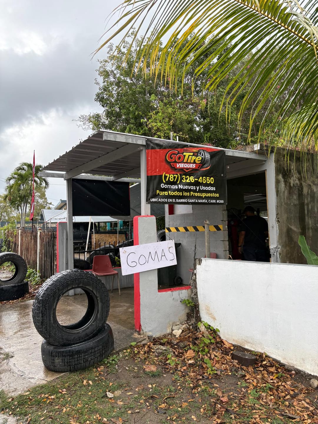 Customer photo review of Banner Full Color