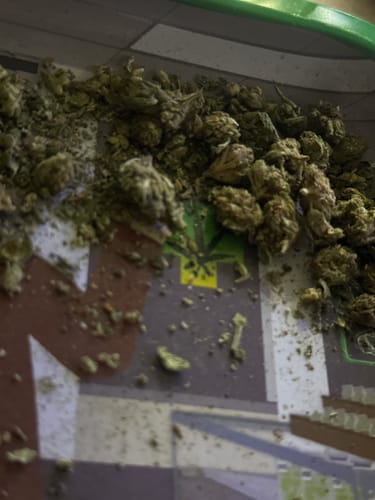 Customer photo review of White Widow - Bulk - Hybrid