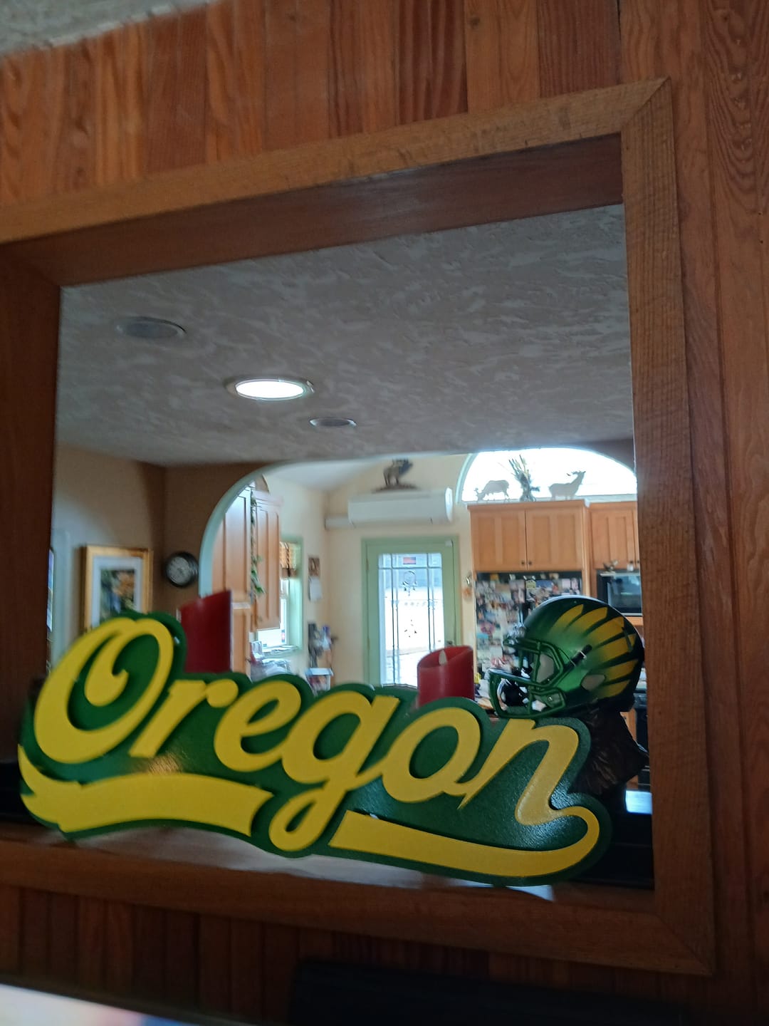 Customer photo review of Oregon Ducks Riddell Speed Mini Helmet - Painted Wing Green
