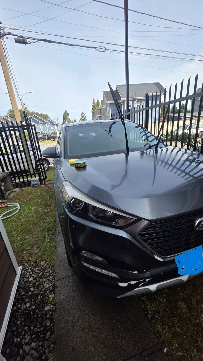Customer photo review of Cera Fusso Coat Autos Oscuros 200g