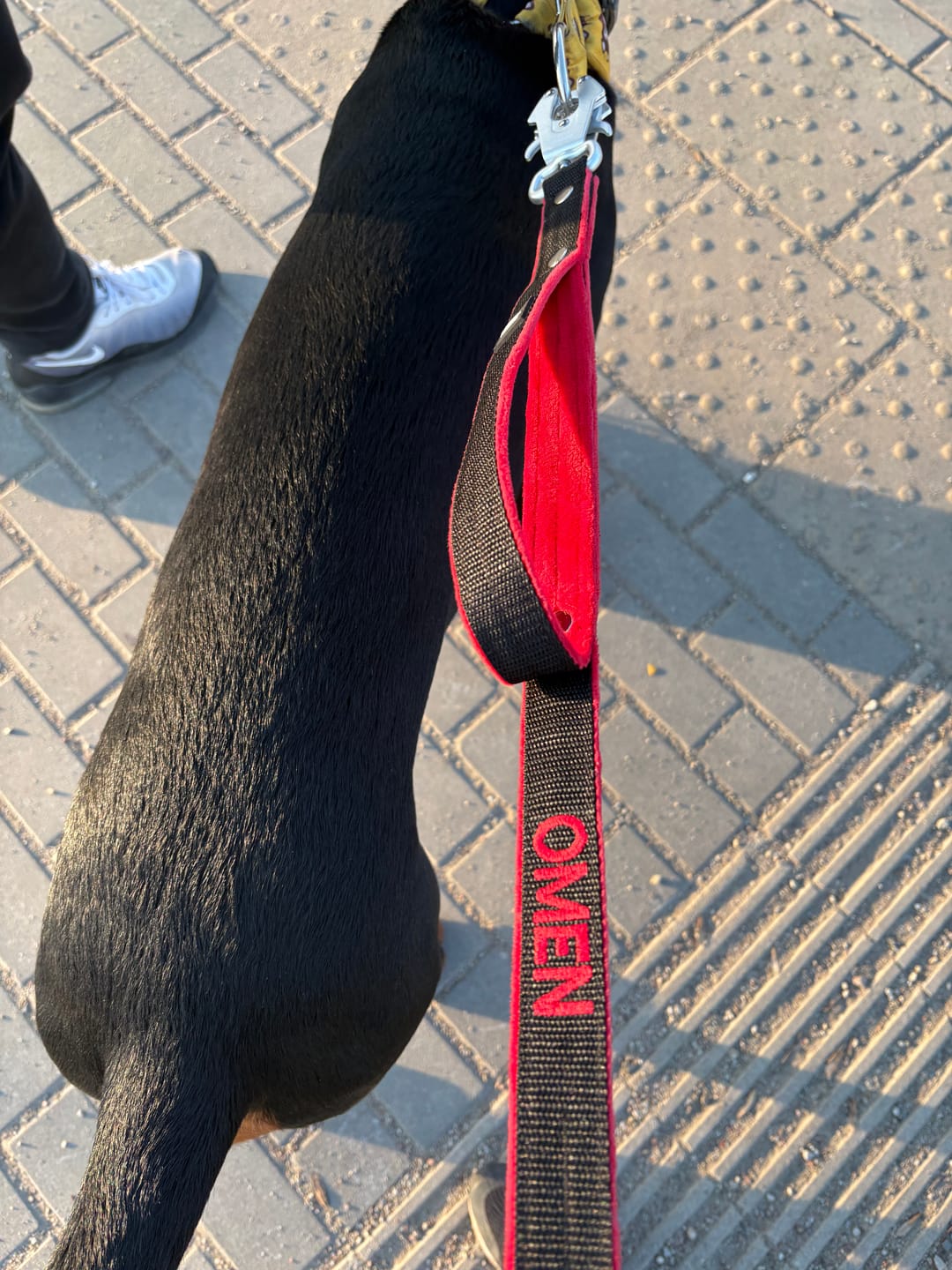 Customer photo review of Smycz dla psa z imieniem - Personal Leash