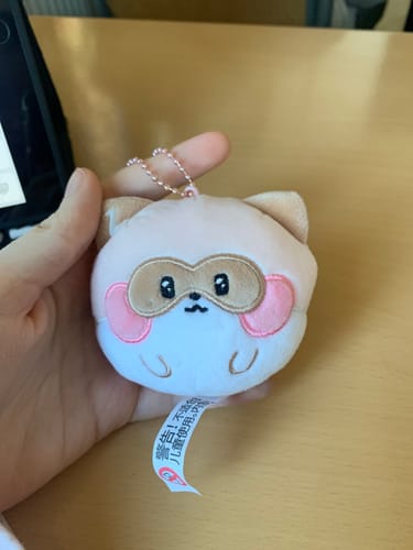 Customer photo review of ZEROBASEONE Line Friends Popup MD Fluffy Face Keyring