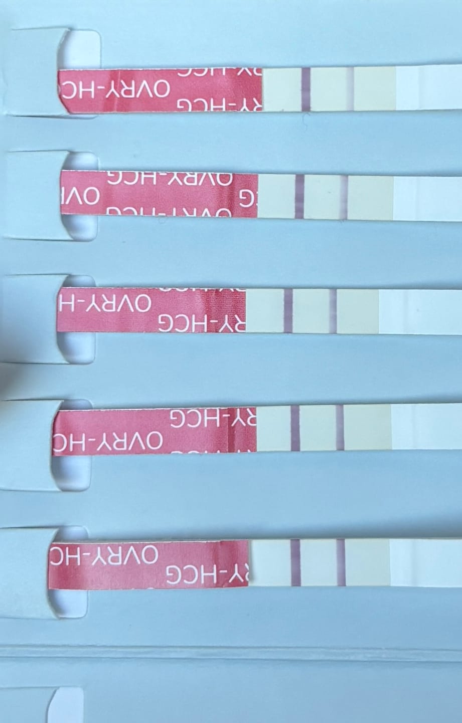 Customer photo review of Pregnancy Test Strips (Ultra-Sensitive)