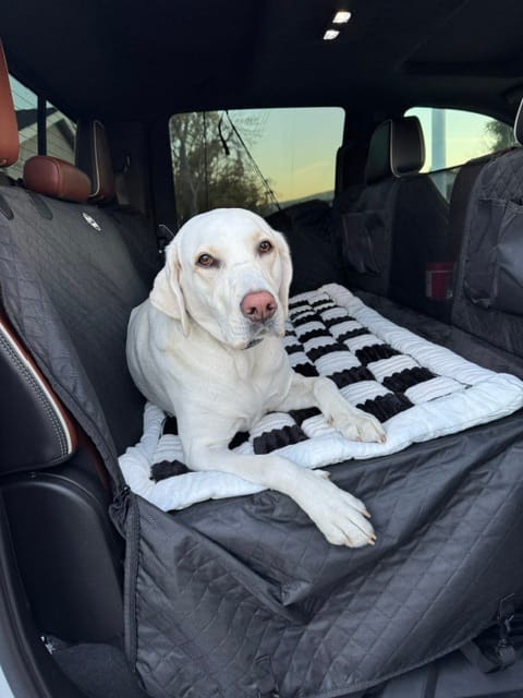 Customer photo review of NEW Waterproof Hard Bottom Car & Truck Seat Foldable Hammock Cover With Storage Pockets, Side Flaps, Headrest Straps, Seat Anchors, & Mesh Window (+FREE SAFETY BELT!)