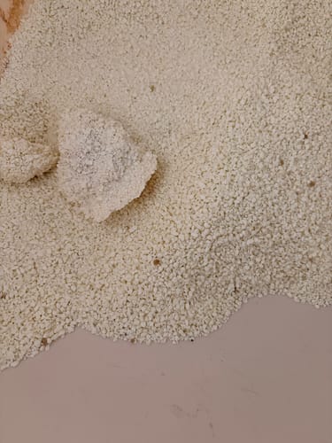 Customer photo review of 賓士牌貓砂 益生菌木薯砂 2.4kg/包 買2送1免運組