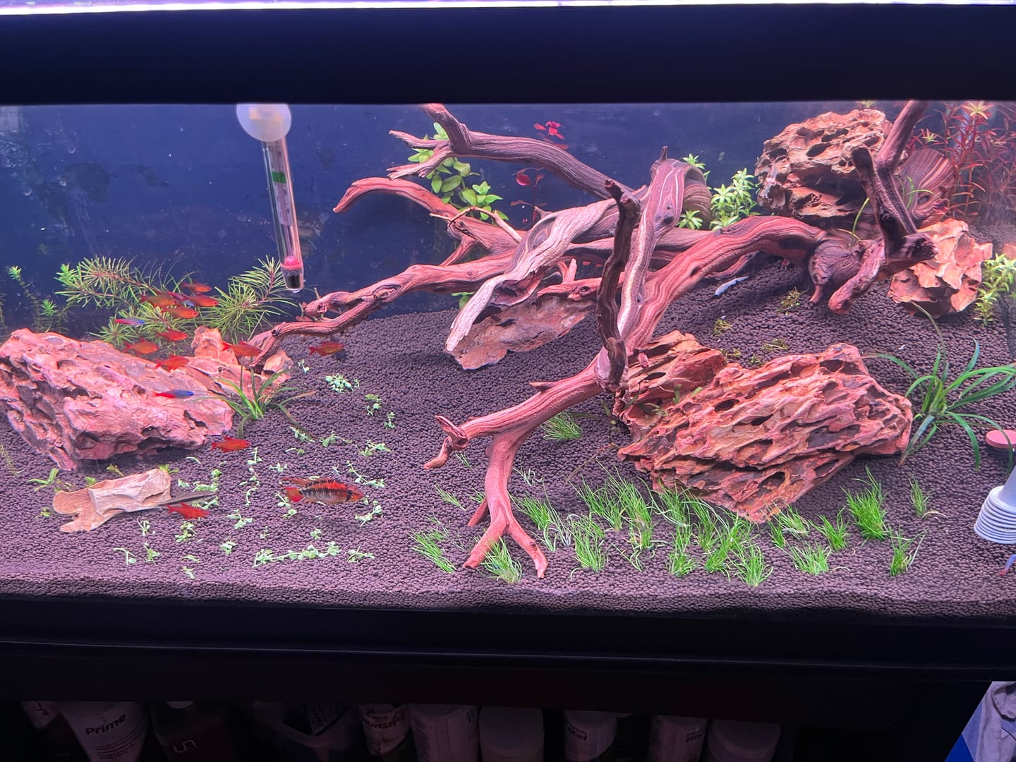 Customer photo review of Chihiros WRGB II Pro LED Light
