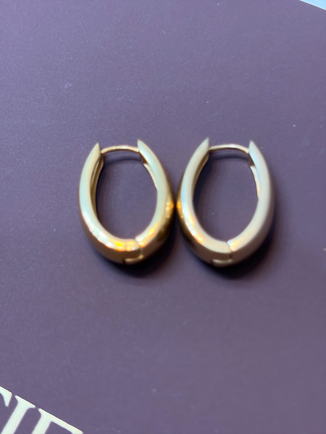 Customer photo review of Valentina Gold Hoop Earrings