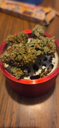 Customer photo review of THCA Queen