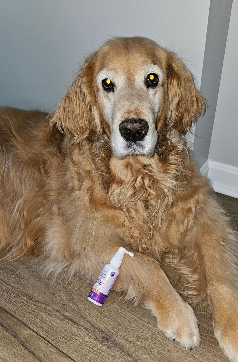 Customer photo review of Dental Pet Spray by Furaqua || Veterinarian Recommended 🏆