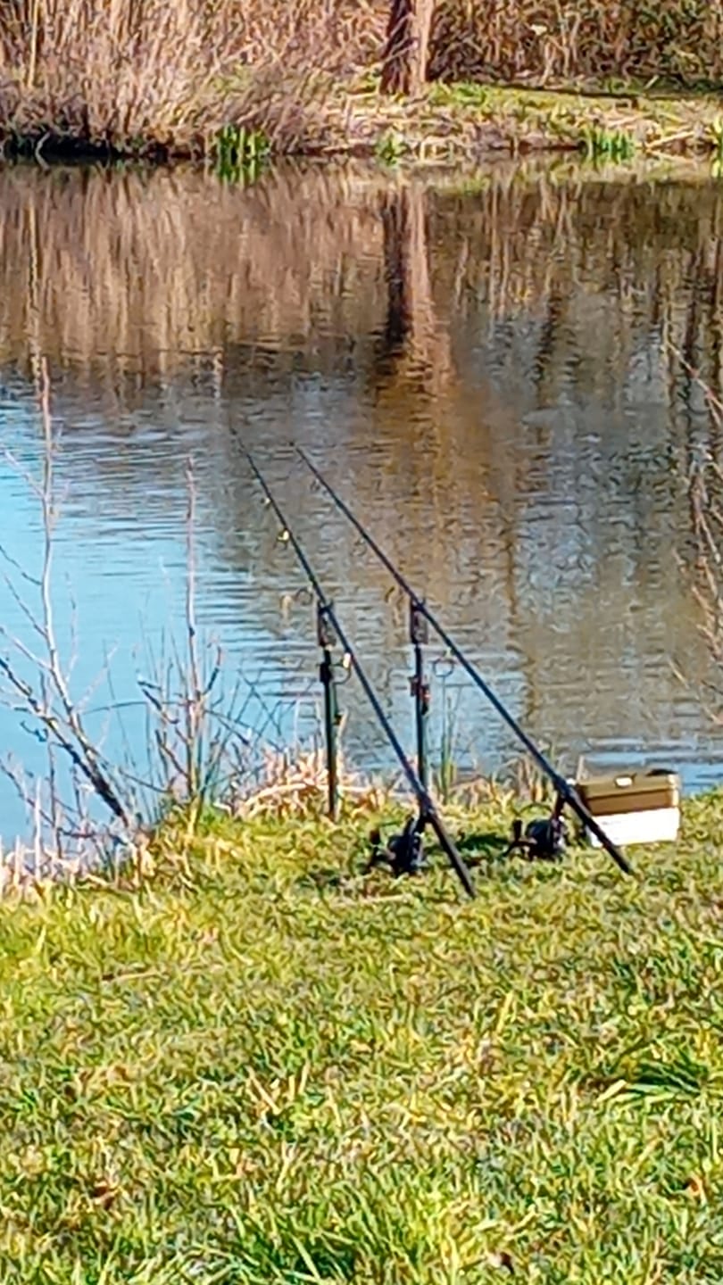 Customer photo review of PREMIUM SELECT (BLACK HALIBUT) - ALLTECH COPPENS