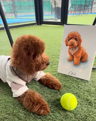 Customer photo review of Πορτραίτο Κατοικίδιου - Νερομπογιά