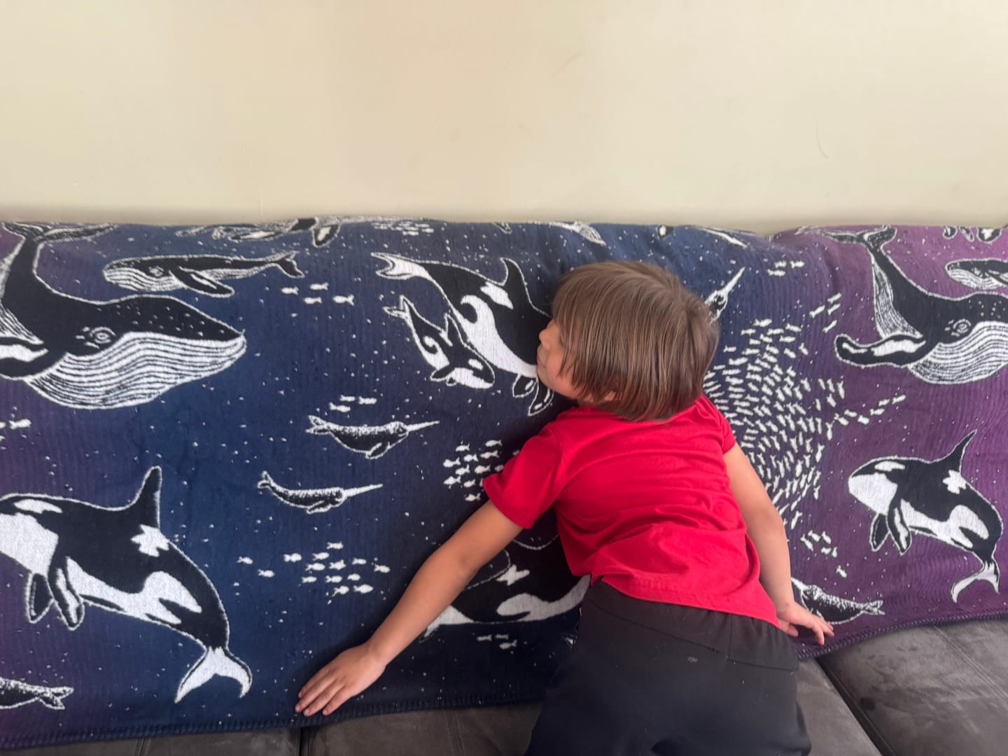 Customer photo review of Whales ‘Midnight Swim’ Brushed Cotton Blanket