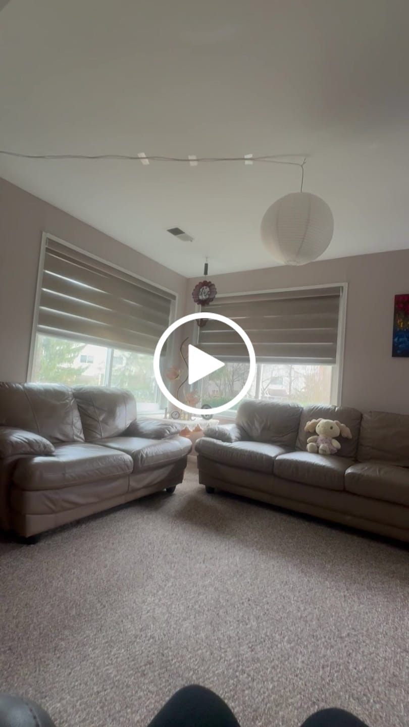 Customer video review of SmartWings Motorized Zebra Shades 90% Blackout 95mm Astrid