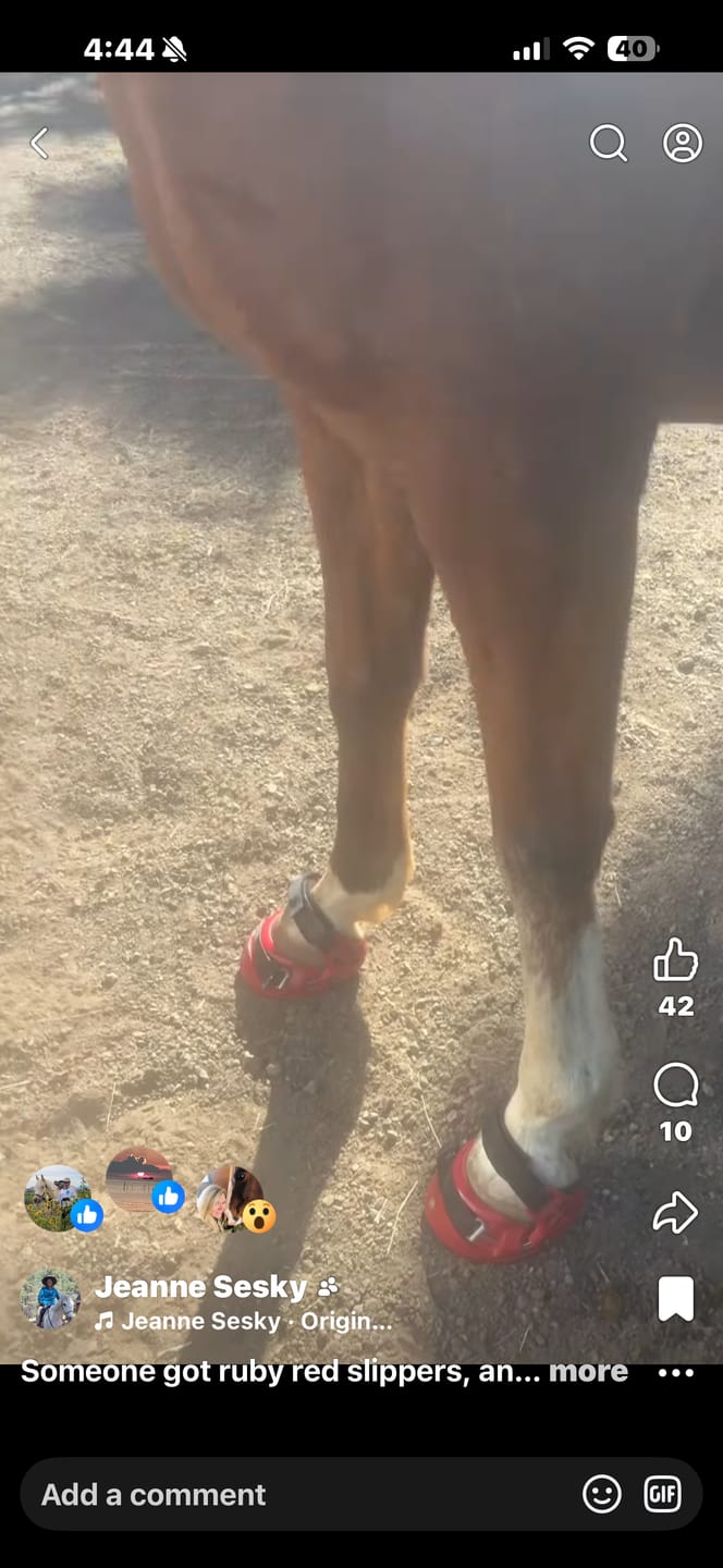 Customer photo review of Renegade® Classic Hoof Boot - Dragon Fire Red
