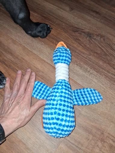 Customer photo review of Plush Blue Goose Dog Chew Toy