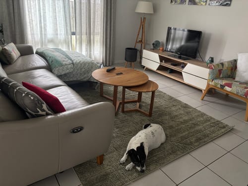 Customer photo review of Marigold Shilo Green Rug