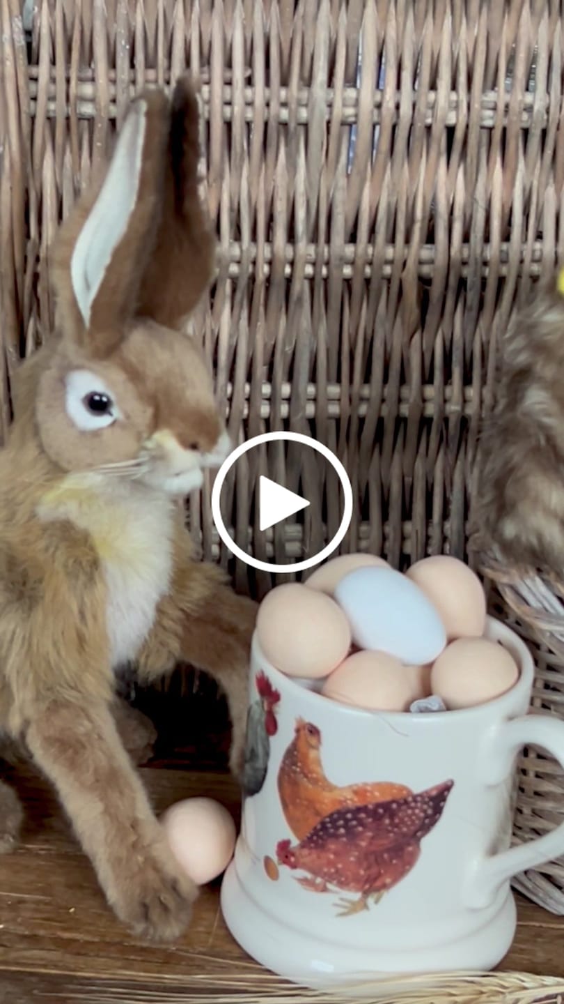Customer video review of Hansa Creation | Jackrabbit | Brun/Grå | ca. 17 cm