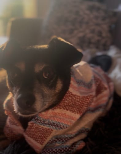 Customer photo review of Playa Poncho – Salmon