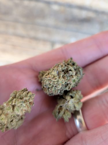 Customer photo review of Hella Jelly - Bulk  - Sativa