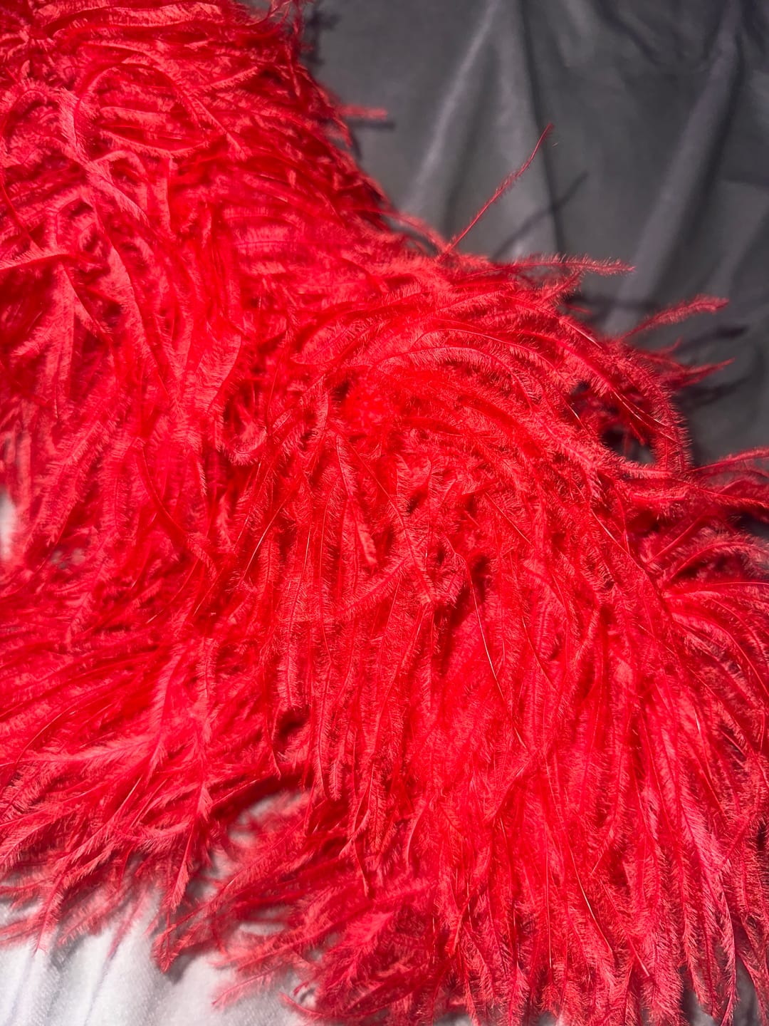 Customer photo review of Ostrich Feather Boa - 6Ply